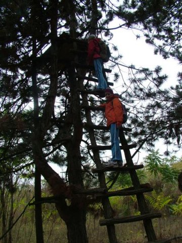 DSCF8292 (Medium)